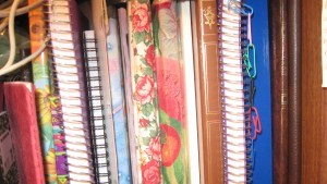 blank book 01