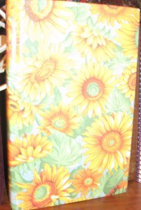 blank book 03