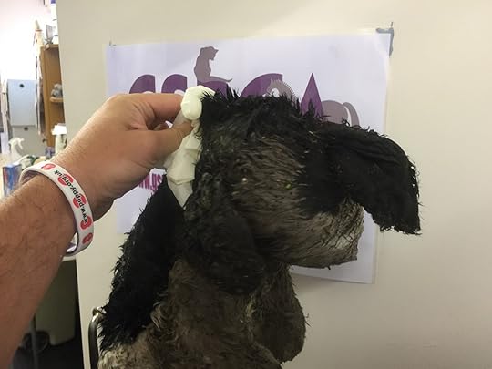 GSPCA