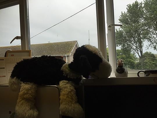 GSPCA