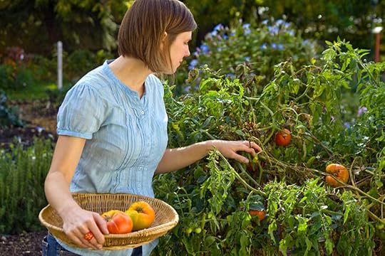 renee-tomatoes