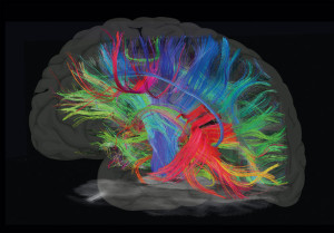 human brain on art