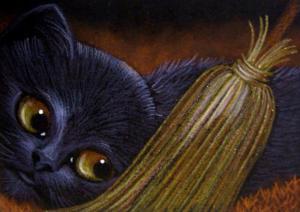 black cat broom