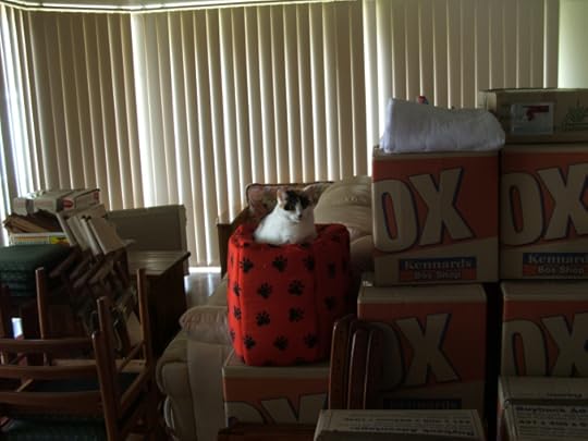 Mini packing to move