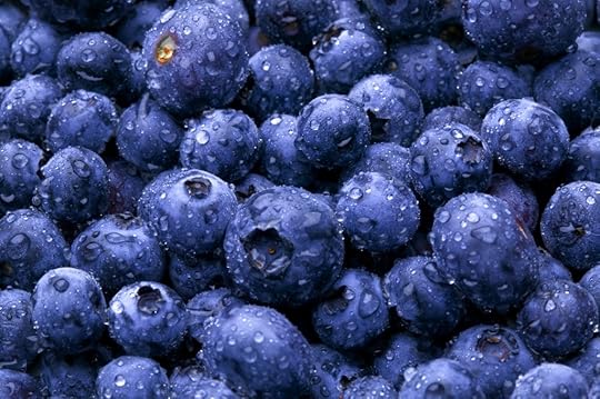 Blueberries of Maine
