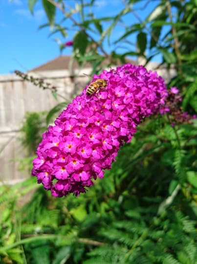 2016-07-13 09.03.41 (2)