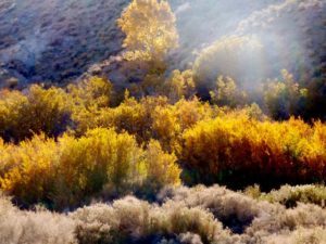 My Own Desert Journey