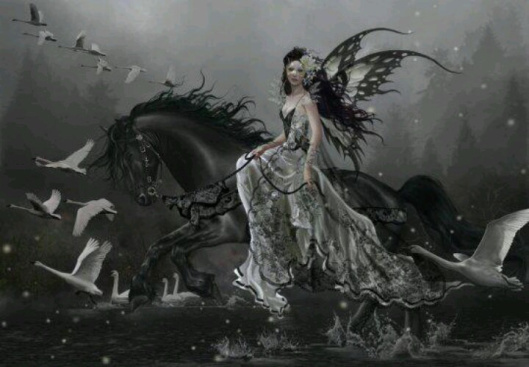 Among our dreams