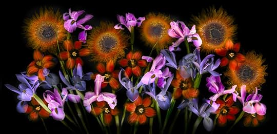 Et chorus sinit ire cum flores (black) © Harold Davis