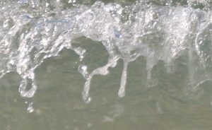 IMG_5797
