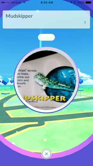 Pokémon go