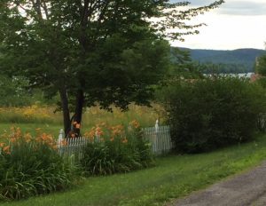 Summertime, oh summeritme. It's everywhere in Belgrade Lakes.