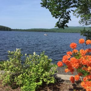 The fade-proof lake