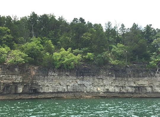 rocks and trees