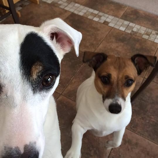 Riley and Disney's Selfie...