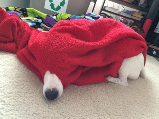 Riley's Not So Good Hiding Place...