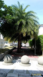 Tempat bersejarah, makam ma'amah