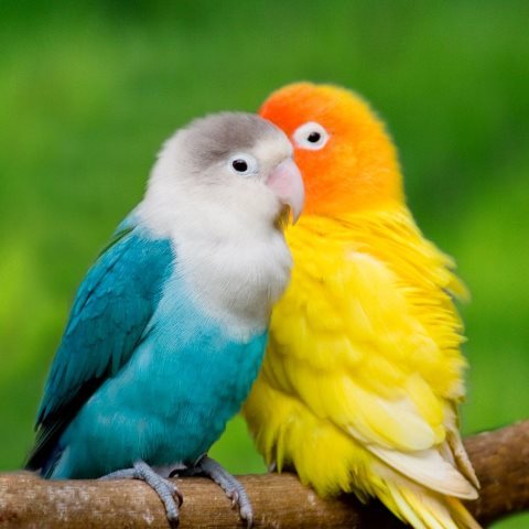 Journey to Your Soulmate