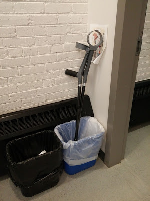 Quadsteppers in a recycling bin
