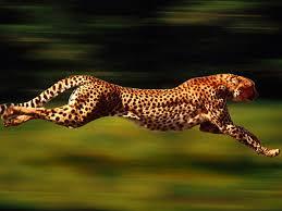 Image result for kinetic energy