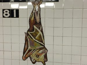 the bats are big down here