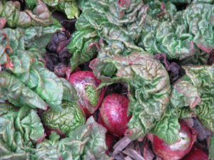 rhubarb
