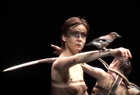 bird-dance