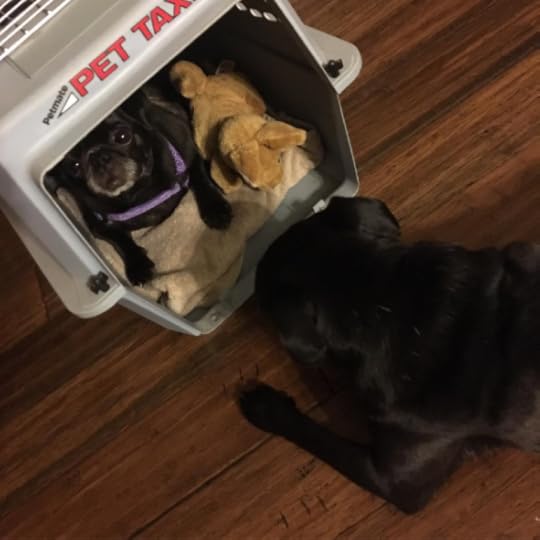 Screen Shot 2016-07-18 at 12.11.31 AM