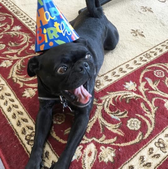 Screen Shot 2016-07-18 at 12.08.28 AM