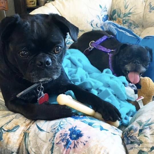 Screen Shot 2016-07-18 at 12.07.54 AM