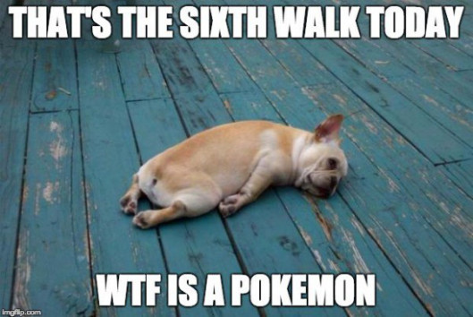 1468575045_pokemon-go-funny-memes-go-viral