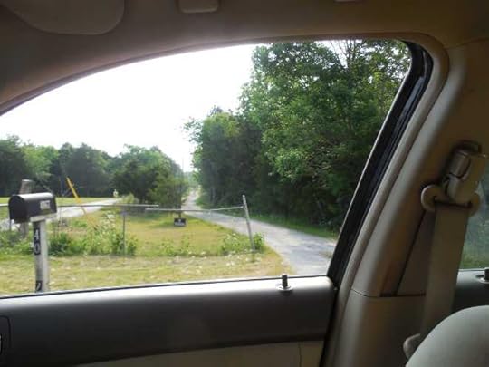 Crazy Freddy's - Turnoff