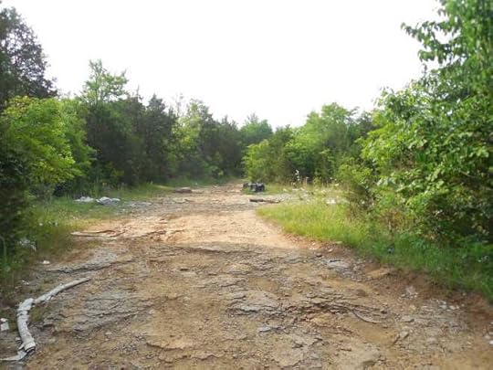 Crazy Freddy's - Rough Road Nowadays