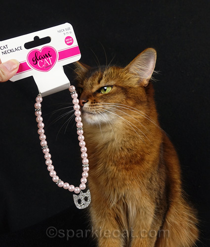 somali cat checks out cat necklace