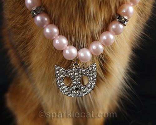 close up of cat necklace
