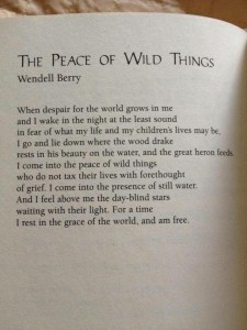 peace-of-wild-things