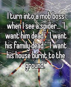 spider-funny