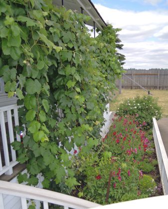 Fort Event Flowers