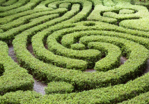 Maze