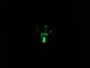 Solar light in green phase.