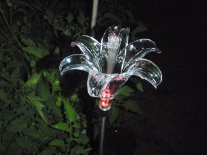Solar Light with flash in the tomato bed.