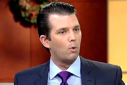 Donald Trump Jr. (Credit: Fox News)
