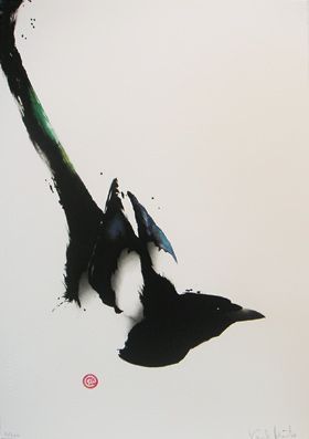 magpie