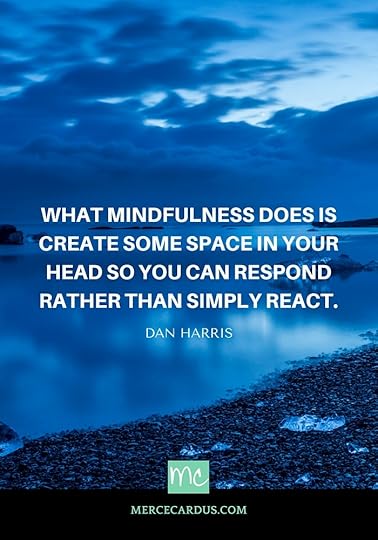Dan Harris on Mindfulness