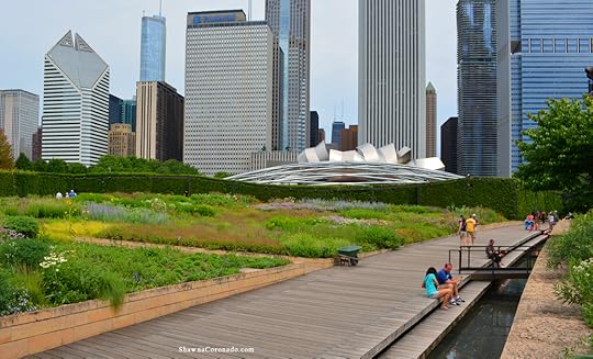 Lurie Garden Summer 2016