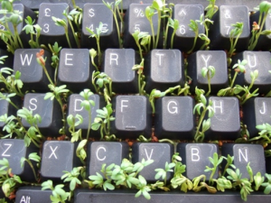 529131_10151420899298382_97254479_n