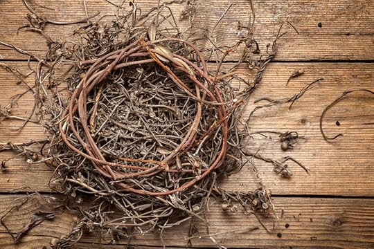 Empty Nest