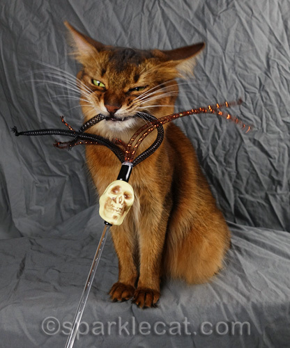 somali cat biting skull toy