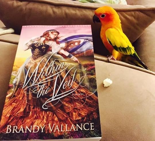 13592726_10208799937067162_8777489472370488308_n[1]