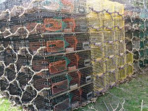 Yes; lobstermen still call Wiscasset home. 